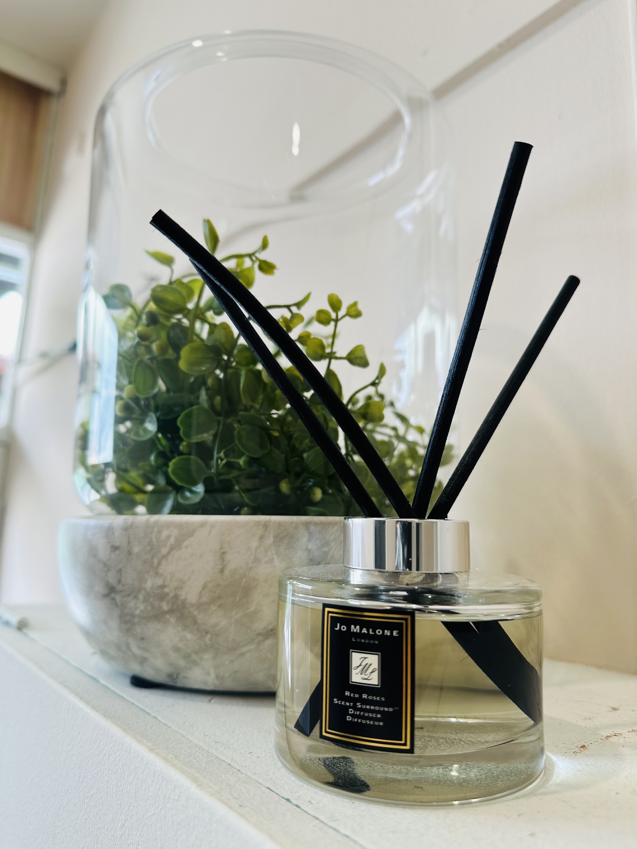 A reed diffuser and potted plant on the windowsill